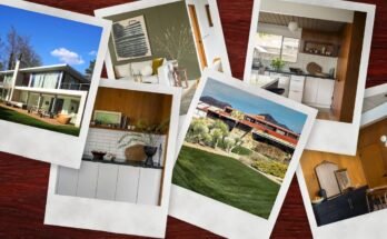 On the “cultic” search for rare wood for modern mid-century homes