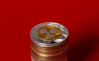 The Binance theft claim can be pursued in federal court, according to the rules of the appeals panel