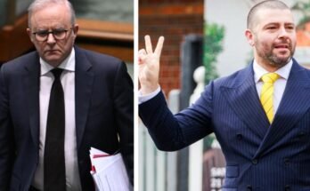 There are currently only two bidders competing at typical auctions in Melbourne